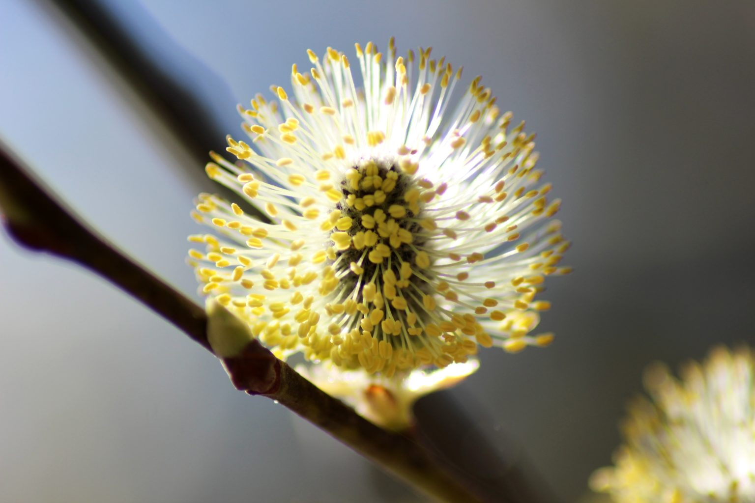 Valokuvaaja: Mirva Inkilä