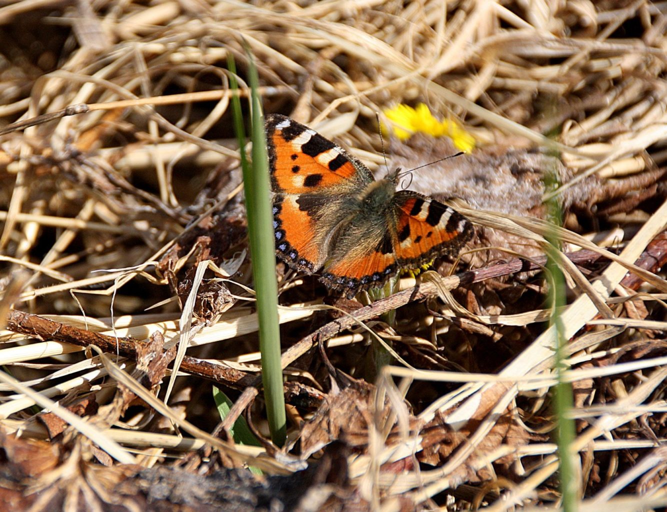 Valokuvaaja: Sirpa Jyske Valokuvaaja: Sirpa Jyske