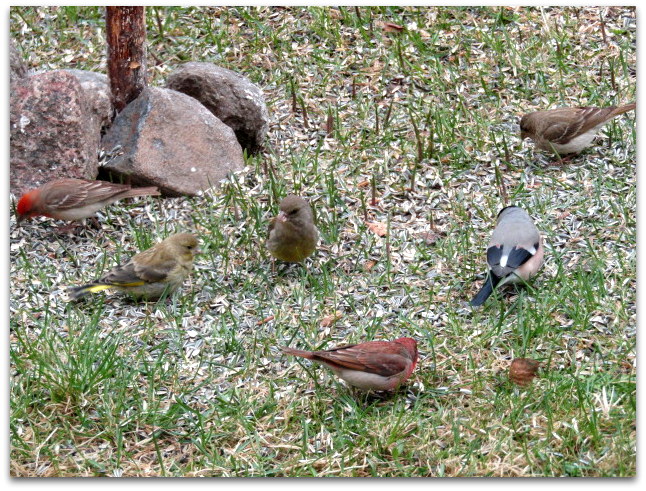 Valokuvaaja: Sirkka Ruotoistenmäki Valokuvaaja: Sirkka Ruotoistenmäki