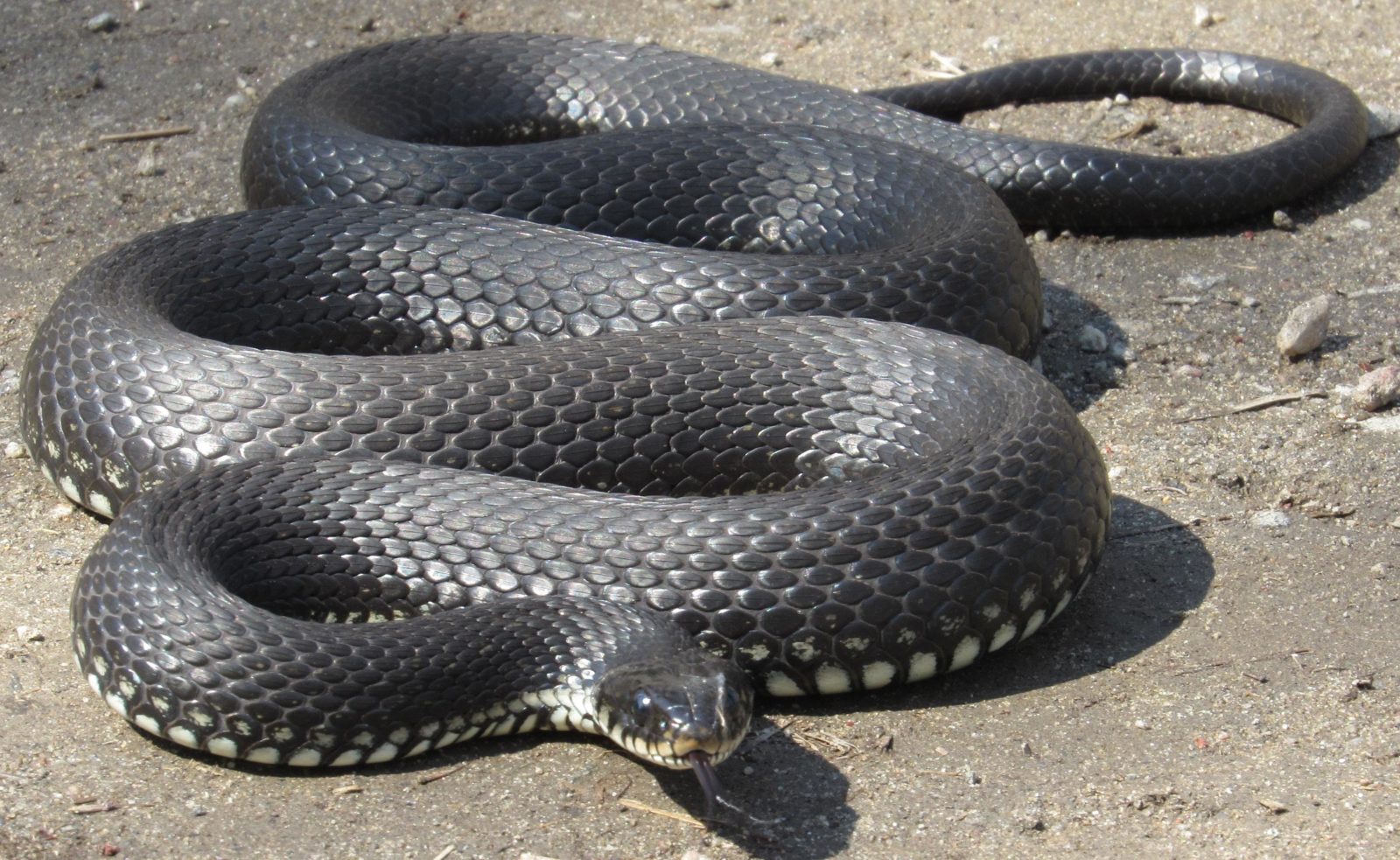 Valokuvaaja: Erkki Paajanen