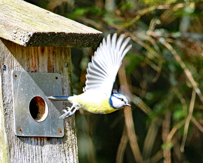 Valokuvaaja: Seppo Kalliomäki