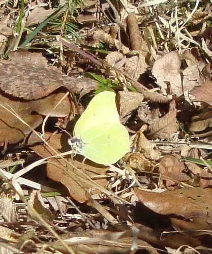 Valokuvaaja: Anja Mustamaa