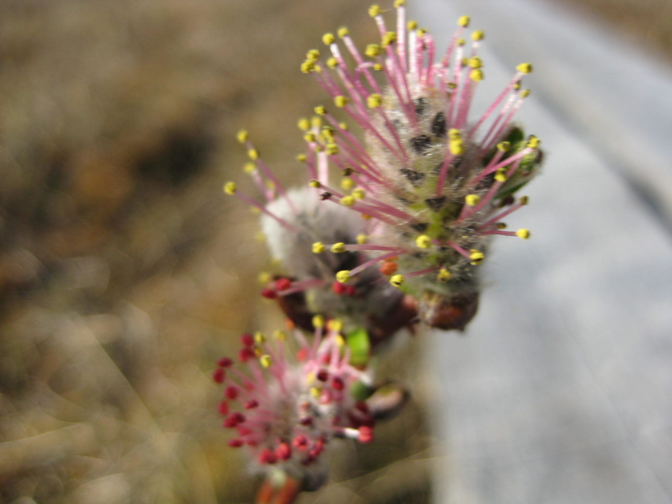 Valokuvaaja: yrjo lukkari