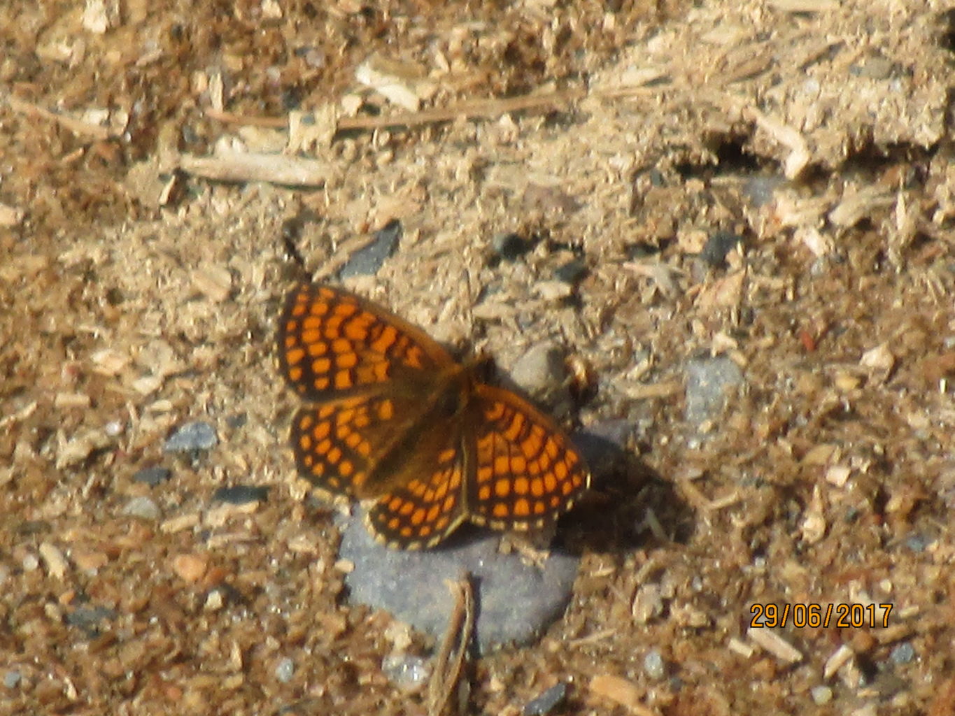 Valokuvaaja: yrjo lukkari