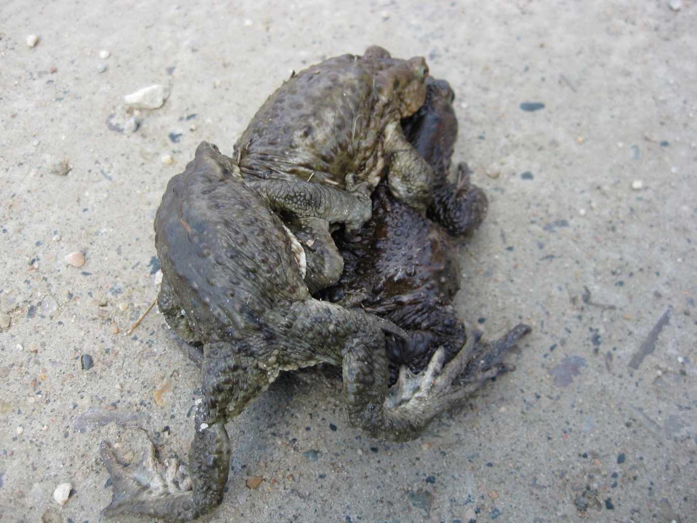 Valokuvaaja: yrjo lukkari