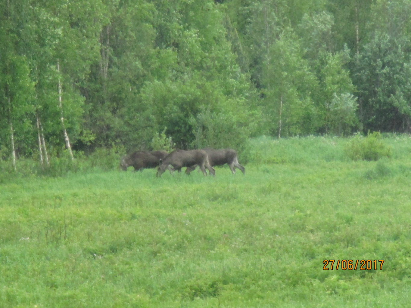 Valokuvaaja: yrjo lukkari