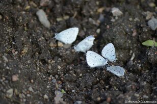 Valokuvaaja: Martti Airasvaara