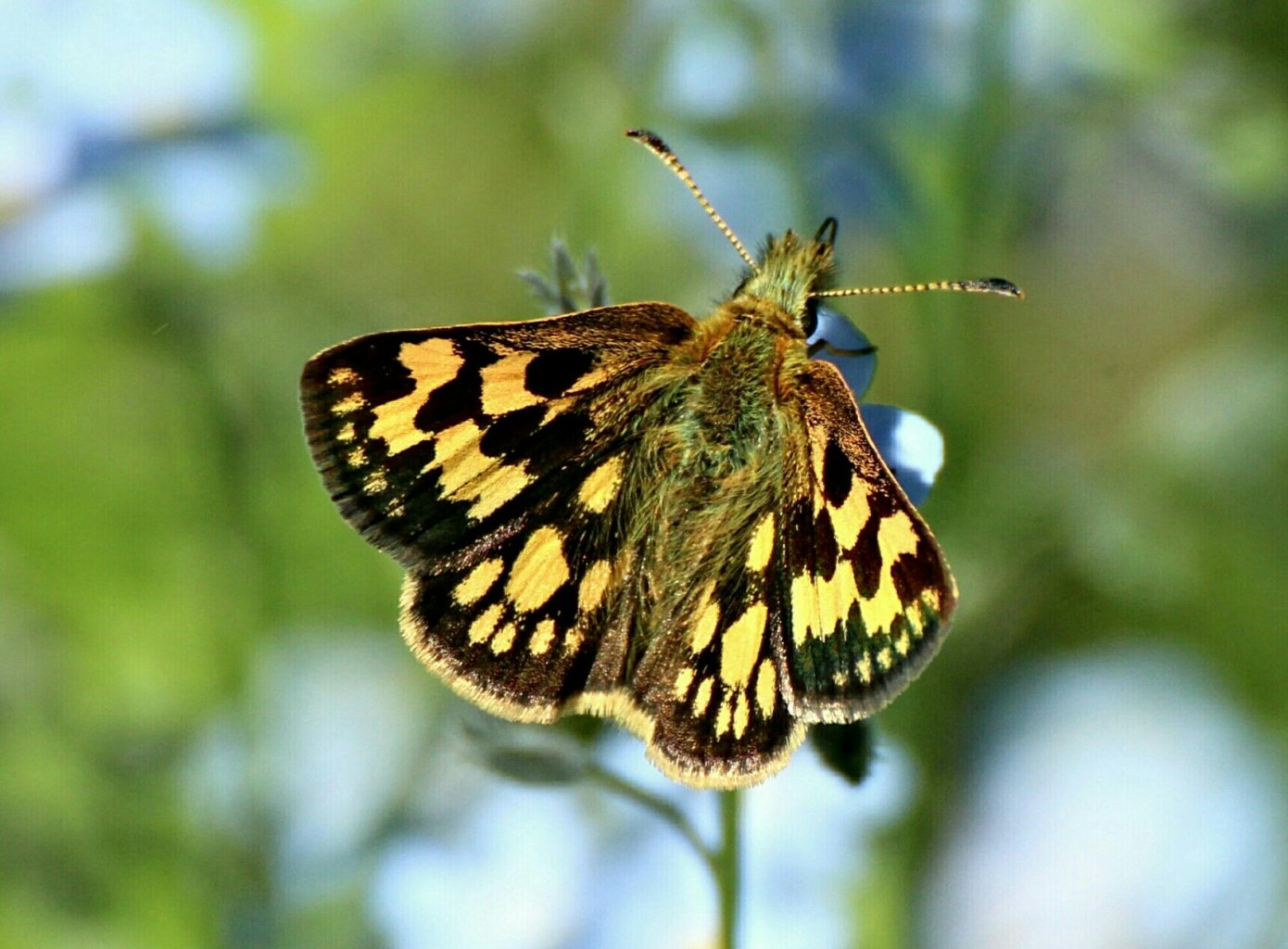 Valokuvaaja: Miia Pesu