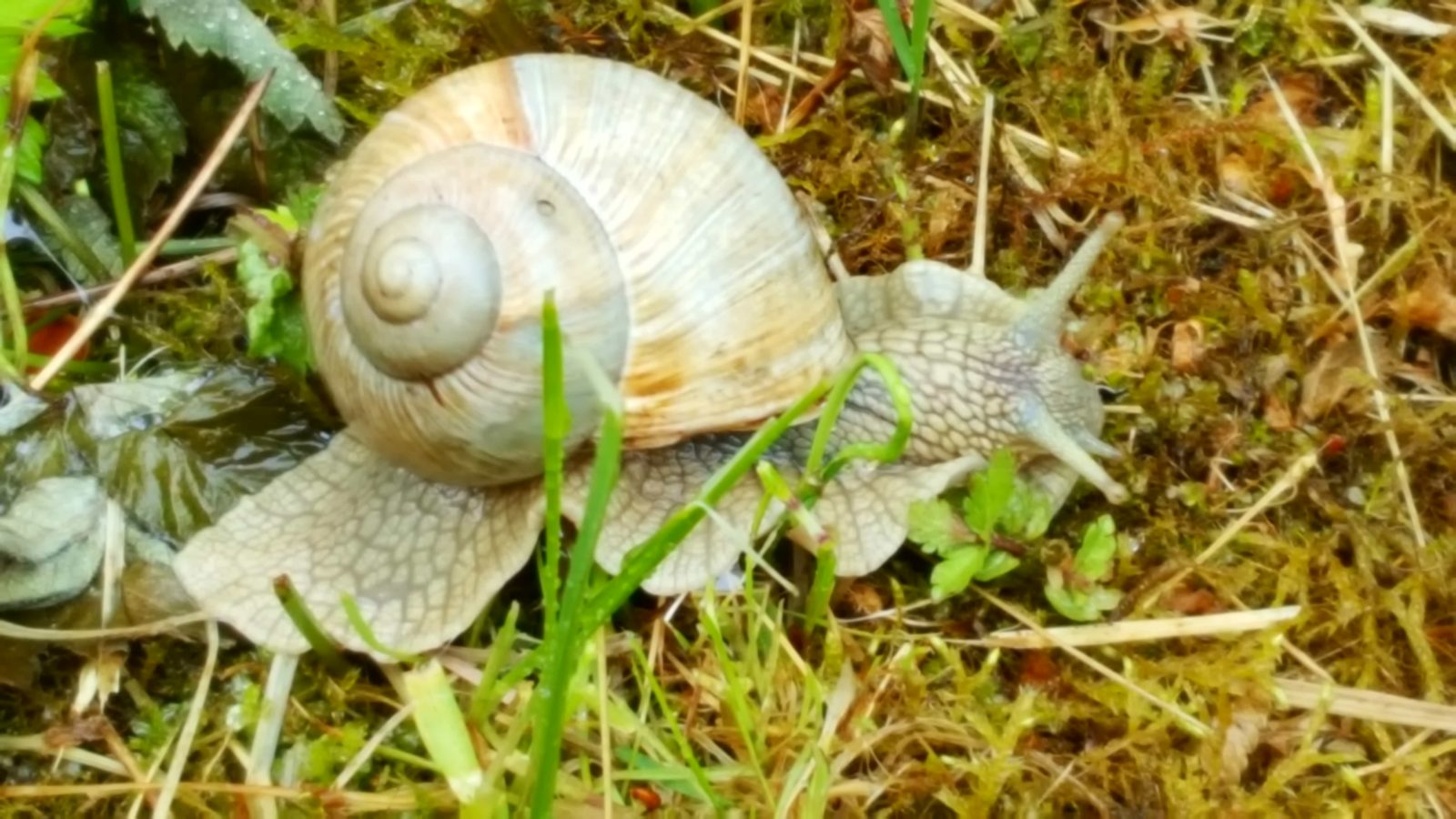 Valokuvaaja: Annamari Niittynen