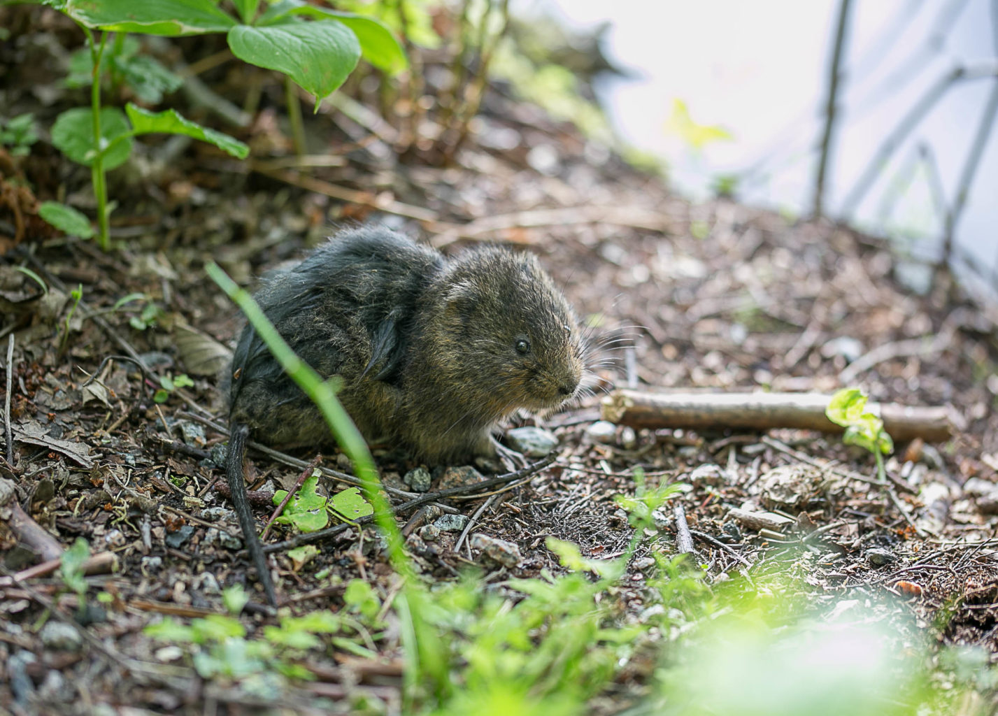 Valokuvaaja: Anne Patana Valokuvaaja: Anne Patana