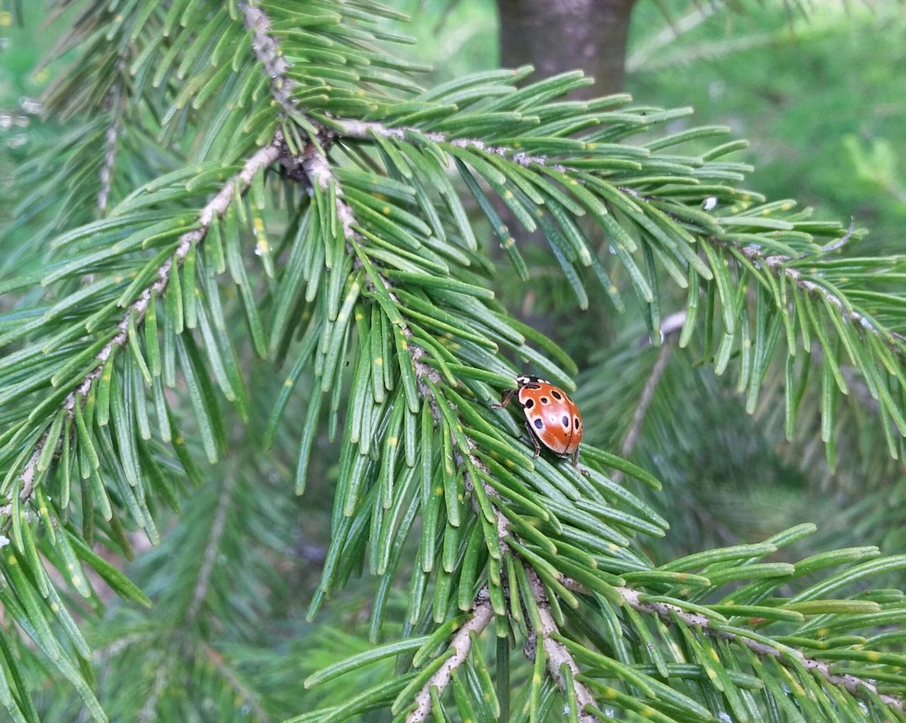 Valokuvaaja: Marja Nevalainen