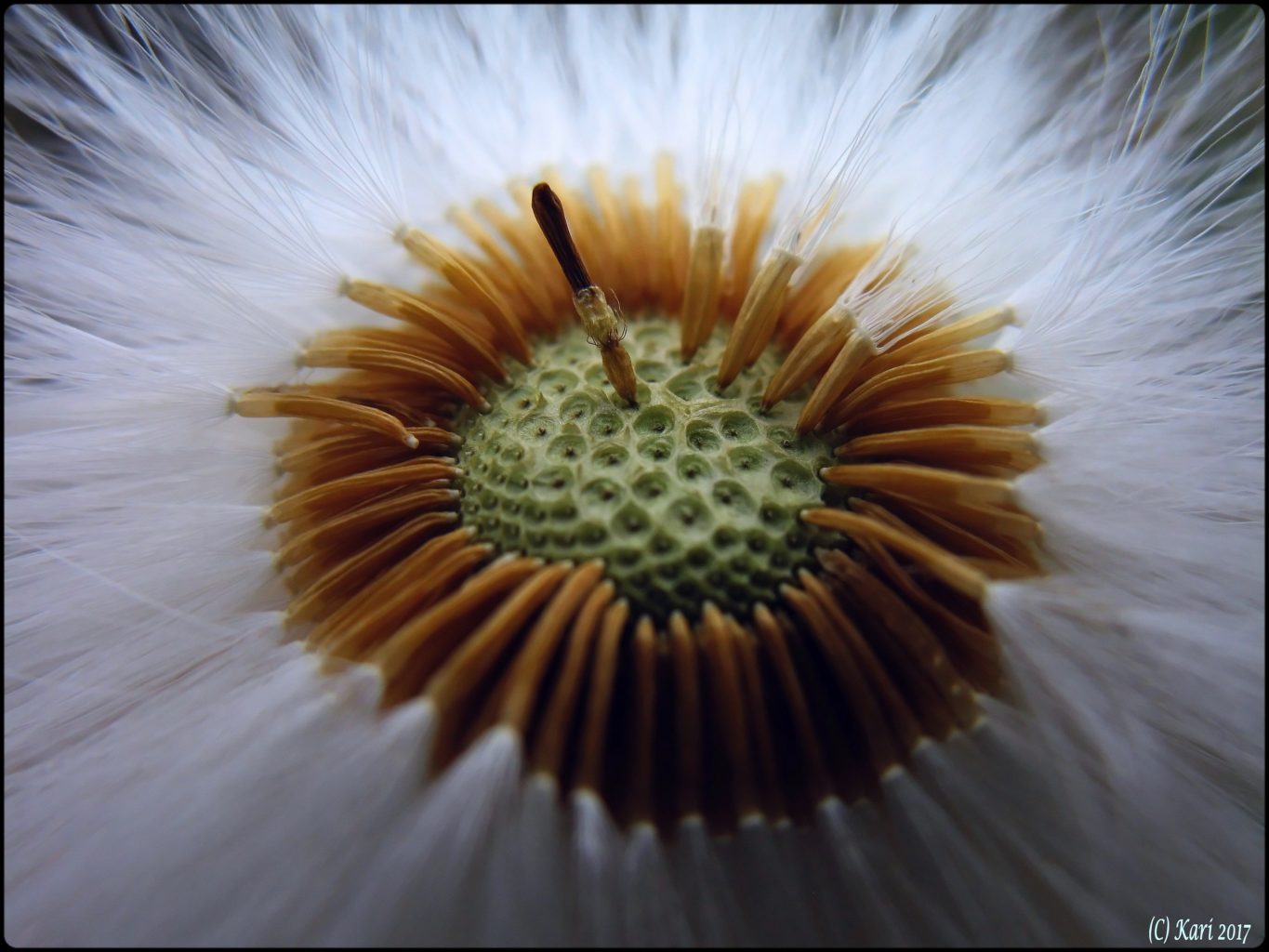 Valokuvaaja: Kari Saarinen