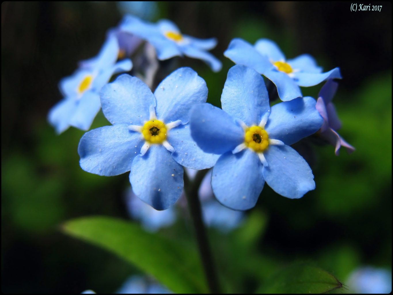 Valokuvaaja: Kari Saarinen