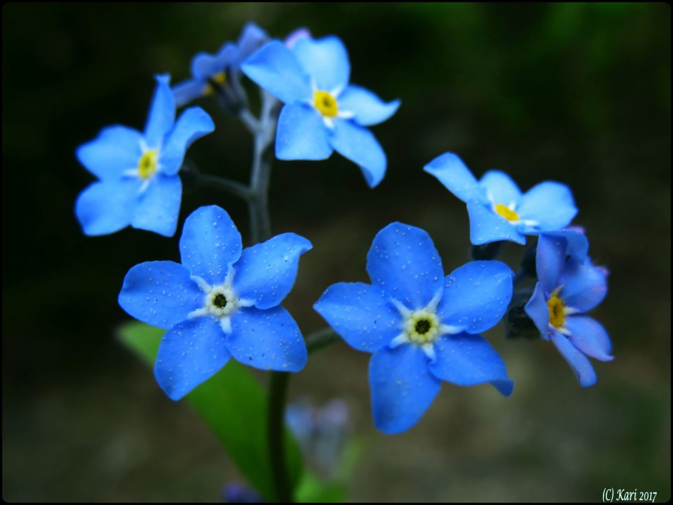 Valokuvaaja: Kari Saarinen