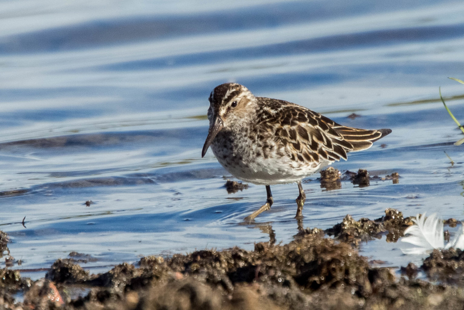 Valokuvaaja: Markku Salonen