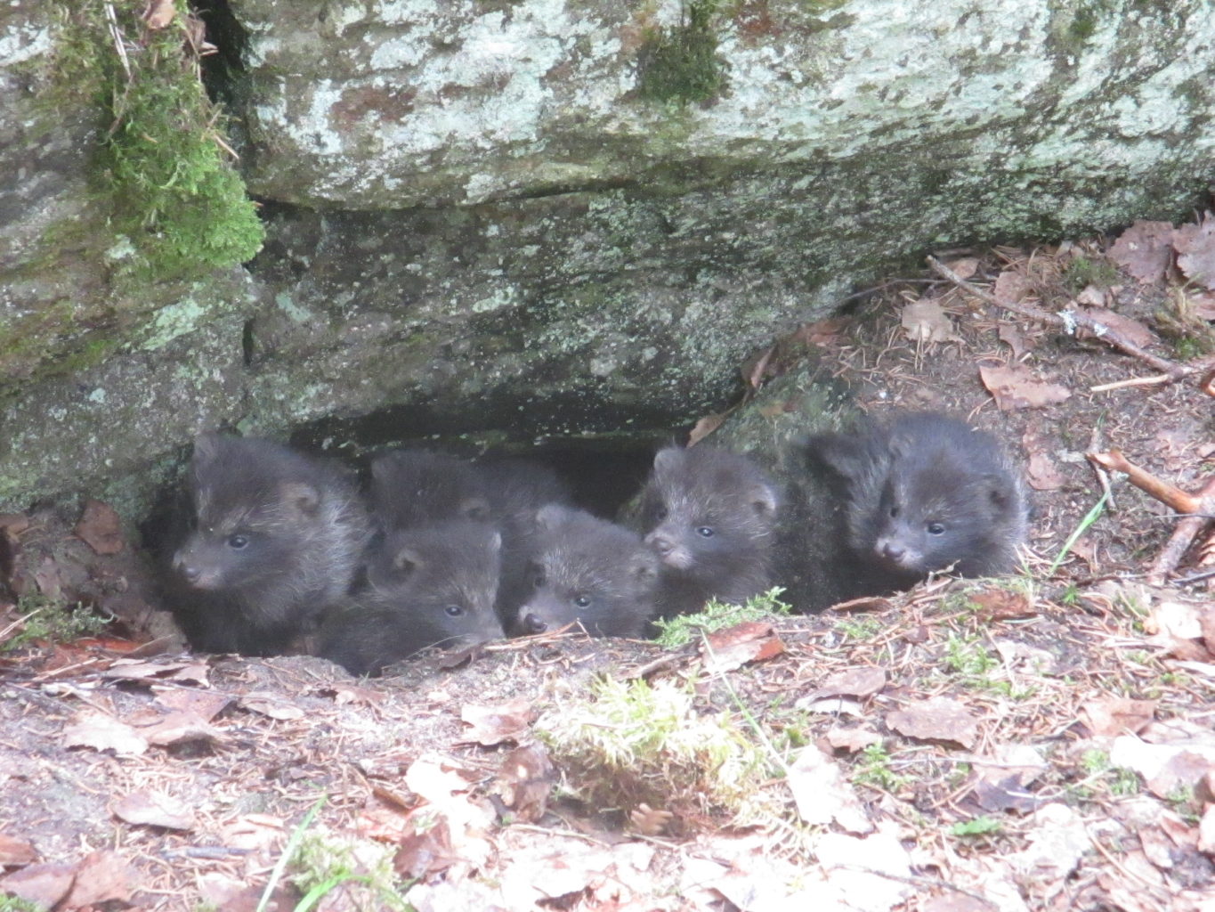 Valokuvaaja: Anja Ikonen