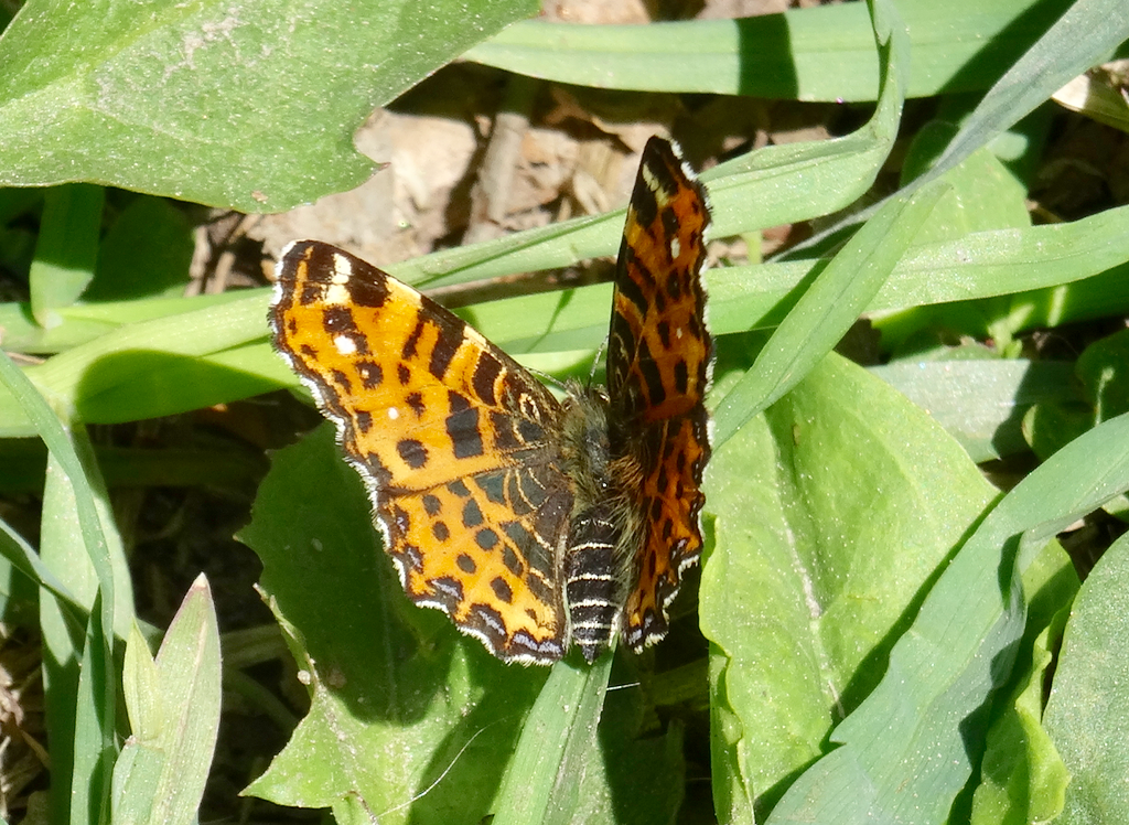 Valokuvaaja: Liisa Niiva-Korpela