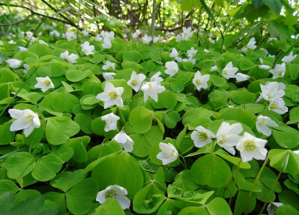Valokuvaaja: Liisa Niiva-Korpela Valokuvaaja: Liisa Niiva-Korpela