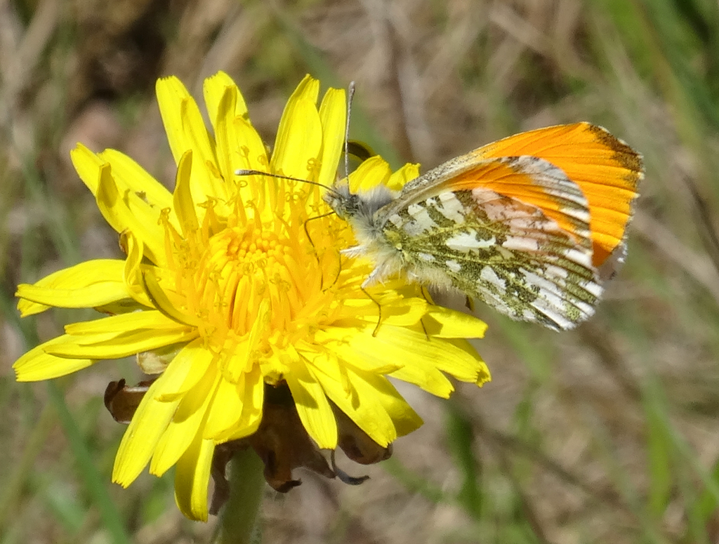 Valokuvaaja: Liisa Niiva-Korpela
