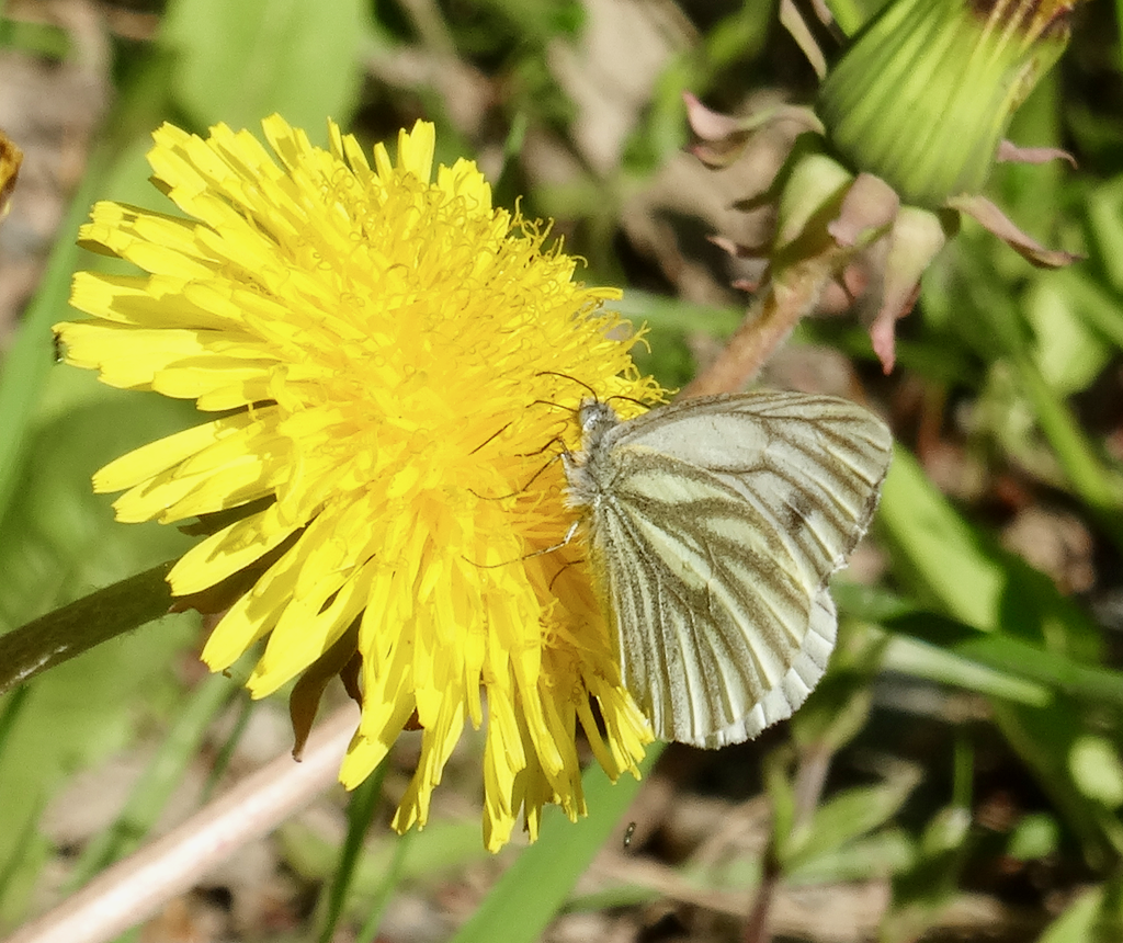 Valokuvaaja: Liisa Niiva-Korpela