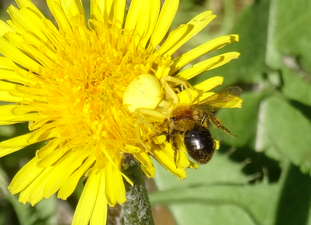 Valokuvaaja: Liisa Niiva-Korpela