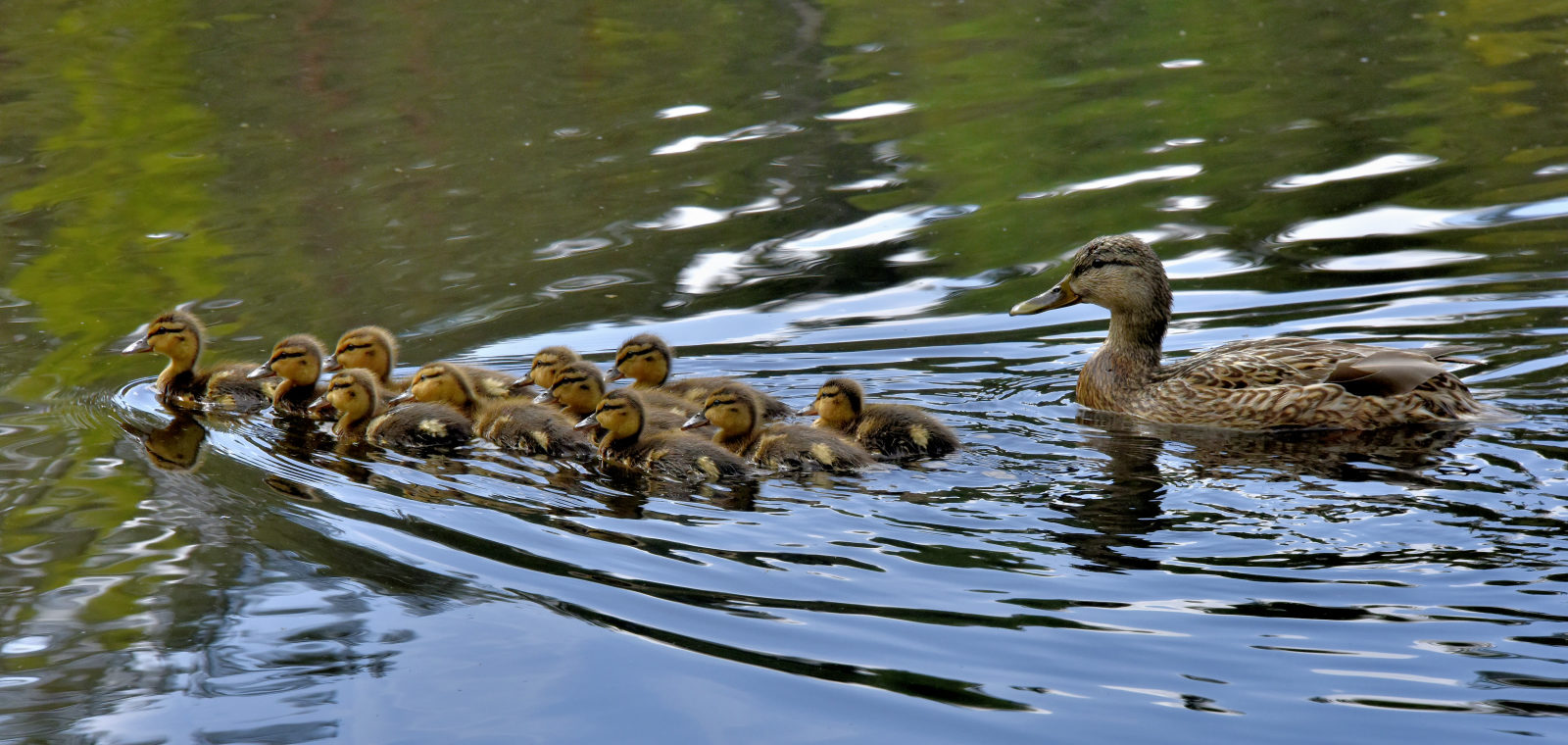 Valokuvaaja: Reijo Juurinen