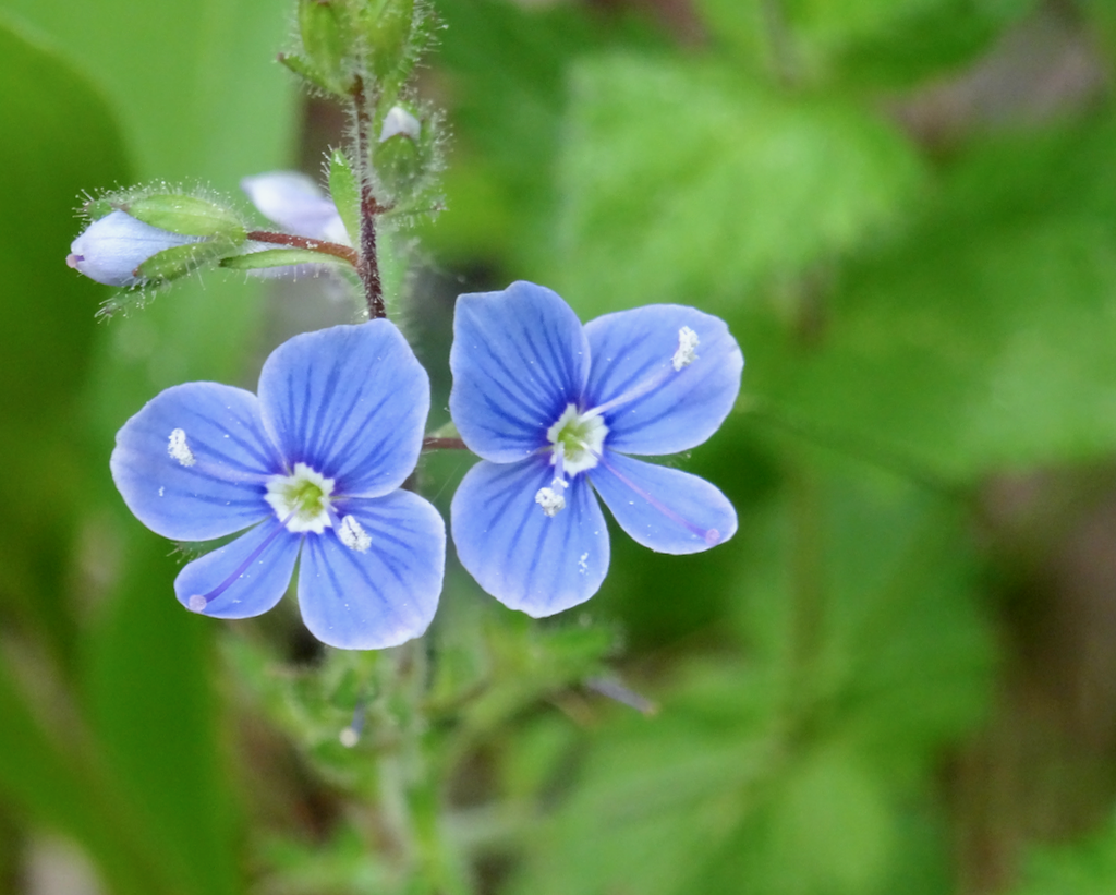Valokuvaaja: Liisa Niiva-Korpela