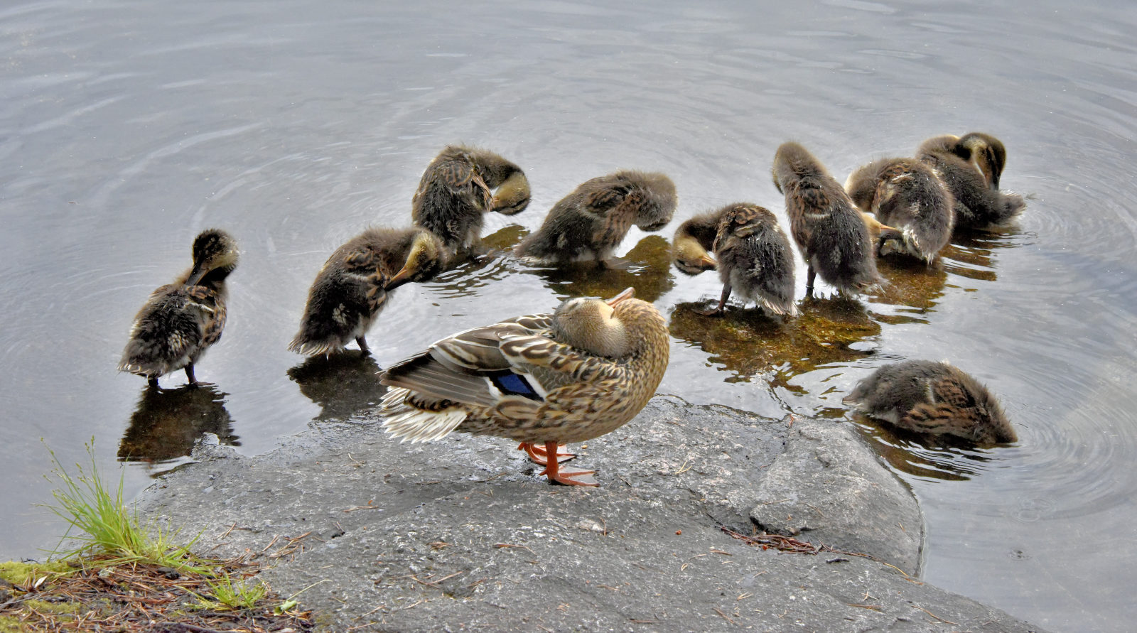 Valokuvaaja: Reijo Juurinen