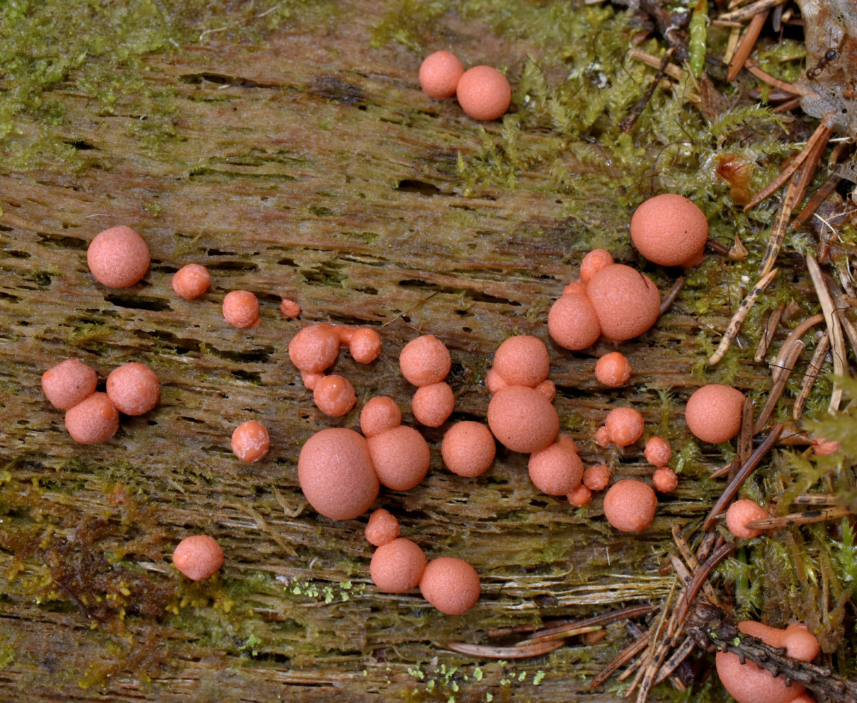 Valokuvaaja: Reijo Juurinen