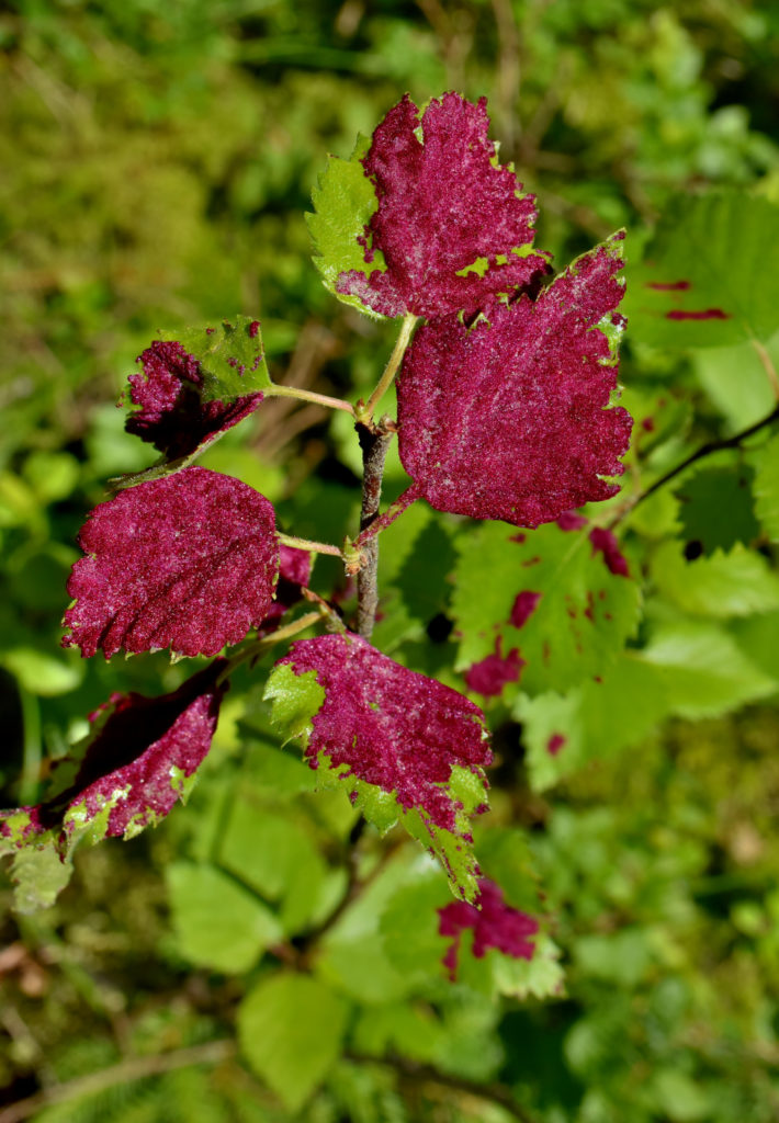 Valokuvaaja: Reijo Juurinen