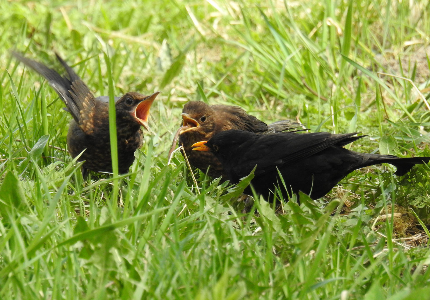 Valokuvaaja: Paavo Siukonen