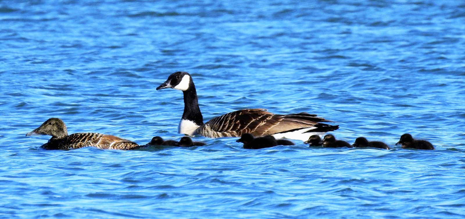 Valokuvaaja: Kari Pirttilä