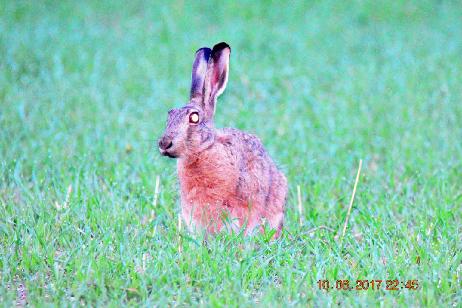 Valokuvaaja: Milja Pakkala