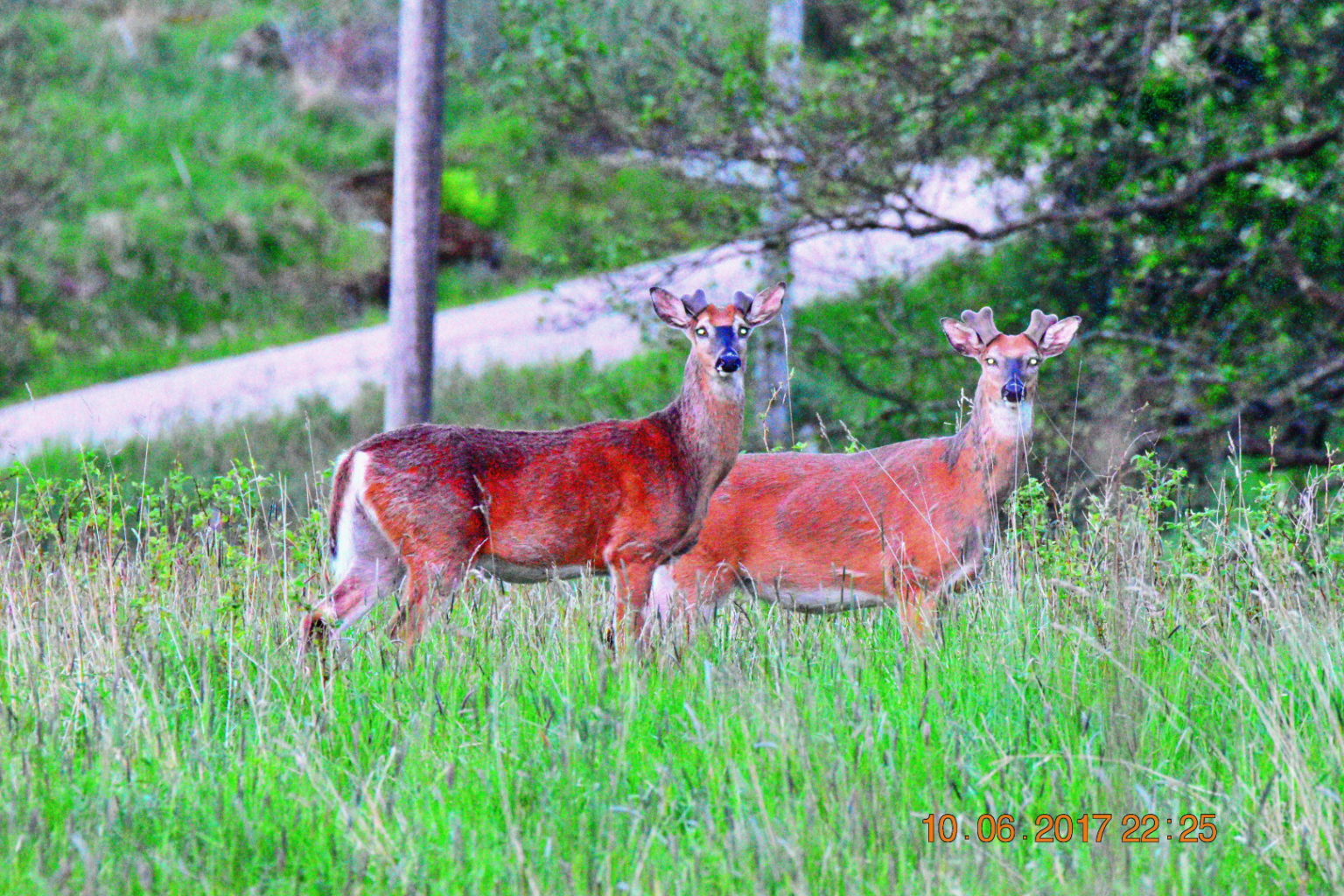 Valokuvaaja: Milja Pakkala Valokuvaaja: Milja Pakkala
