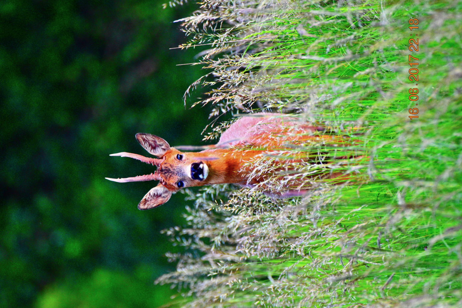 Valokuvaaja: Milja Pakkala