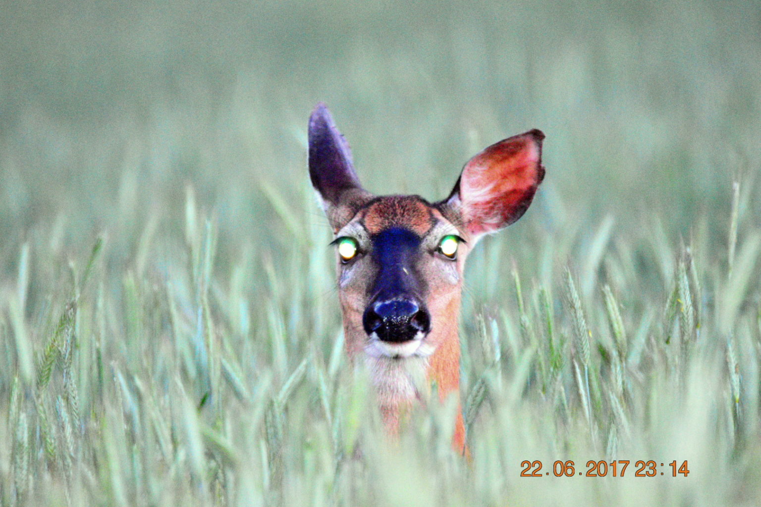 Valokuvaaja: Milja Pakkala