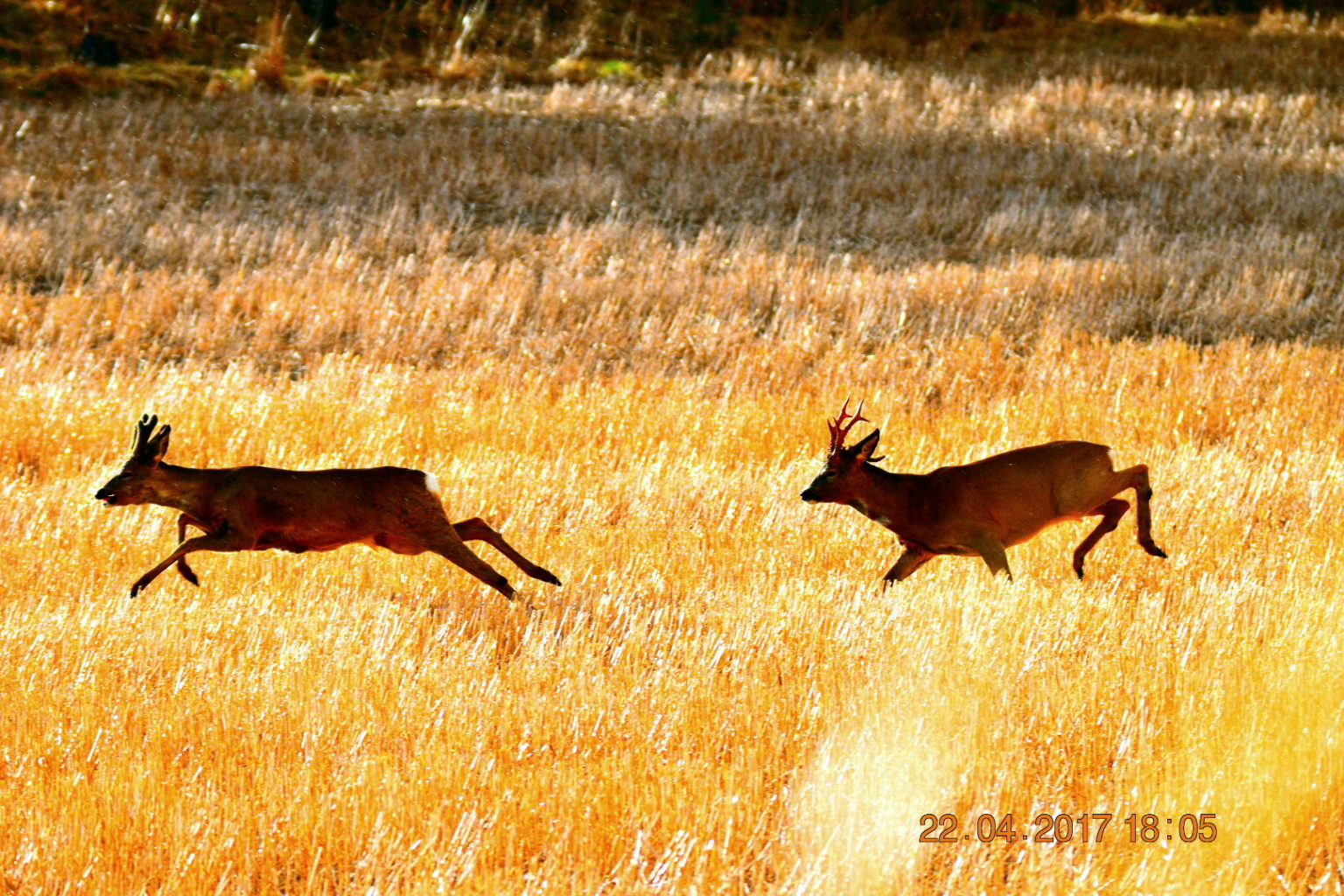 Valokuvaaja: Milja Pakkala