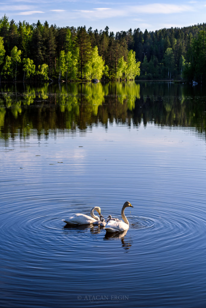 Valokuvaaja: Atacan Ergin
