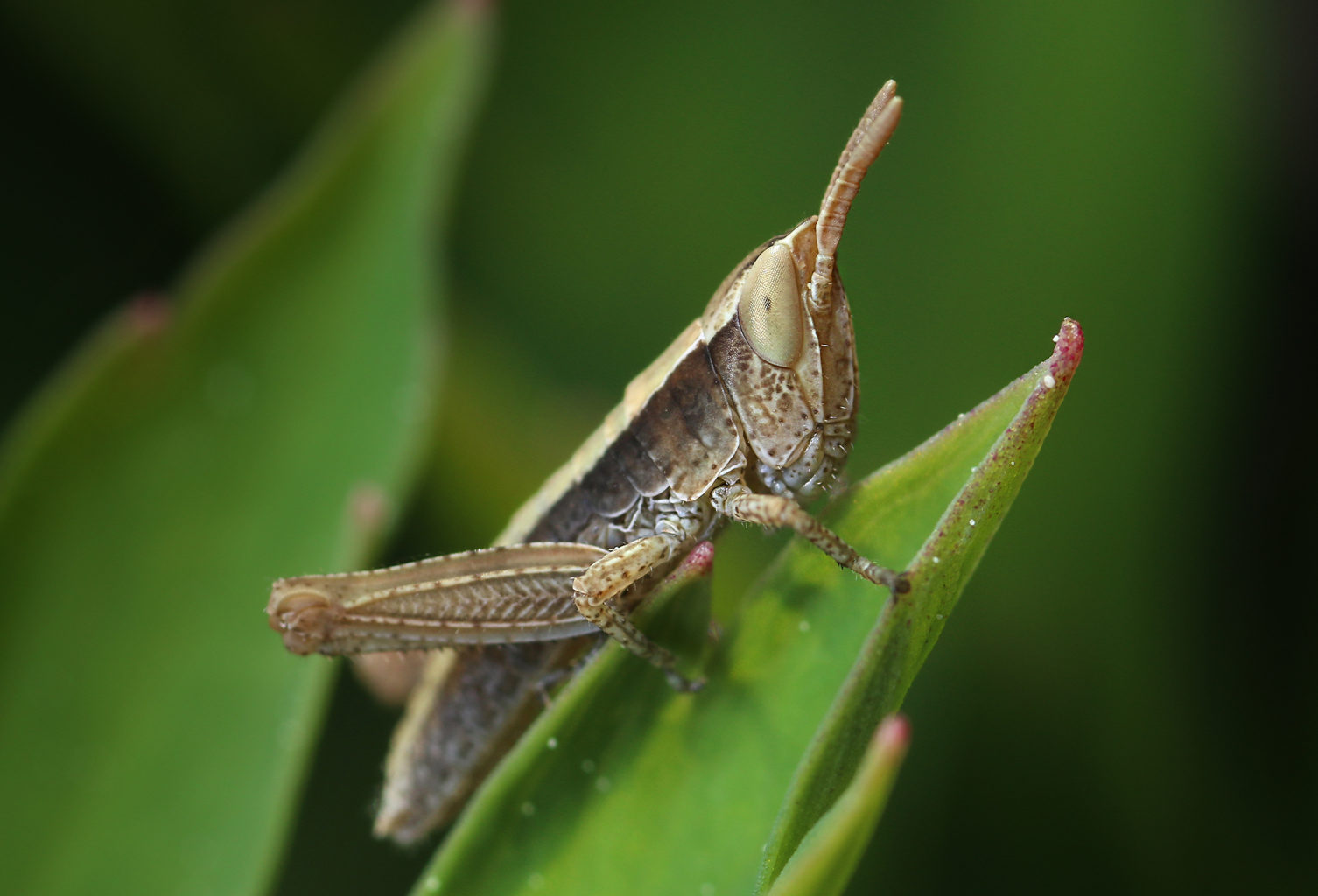 Valokuvaaja: Tarja Porkkala