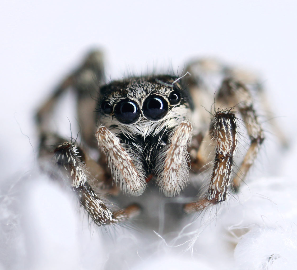 Valokuvaaja: Tarja Porkkala