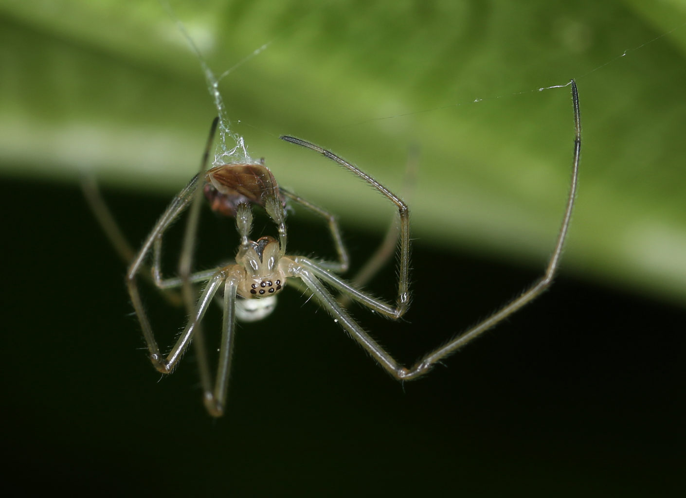 Valokuvaaja: Tarja Porkkala Valokuvaaja: Tarja Porkkala