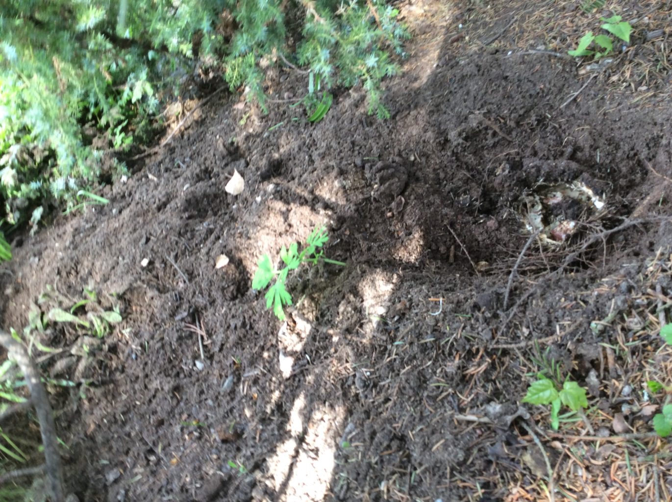 Valokuvaaja: Kaija Valokuvaaja: Kaija