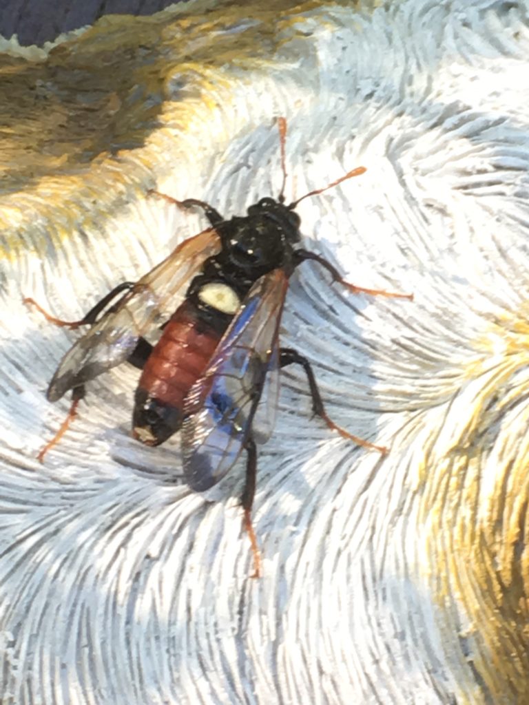 Valokuvaaja: Marjo Ristimäki