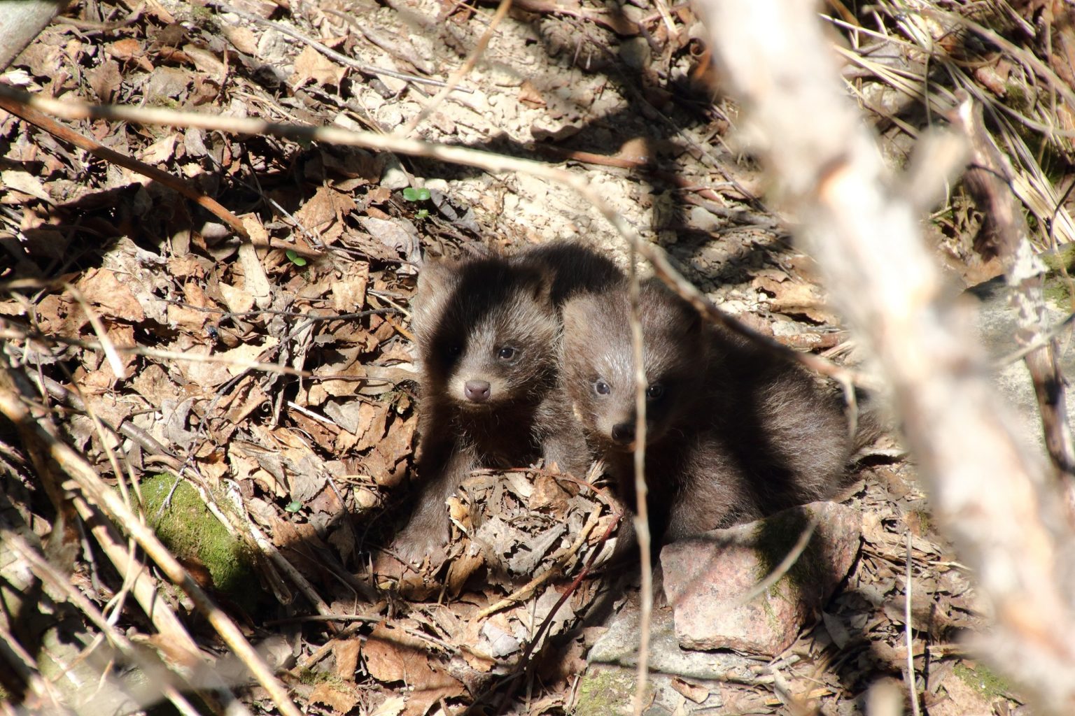 Valokuvaaja: Jarkko Anttila Valokuvaaja: Jarkko Anttila