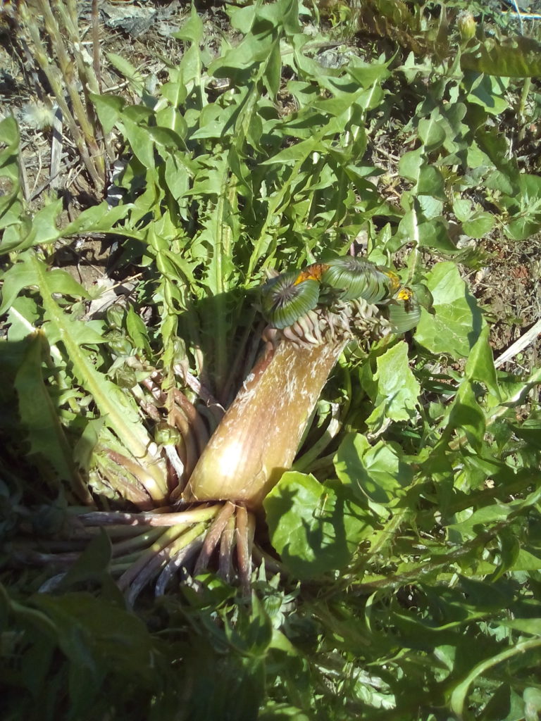 Valokuvaaja: heta pitkänen