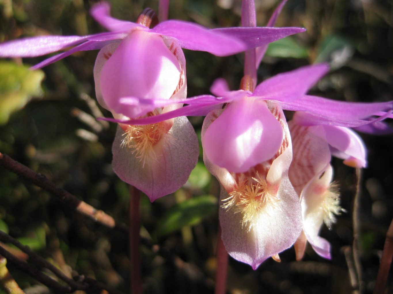 Valokuvaaja: yrjo lukkari