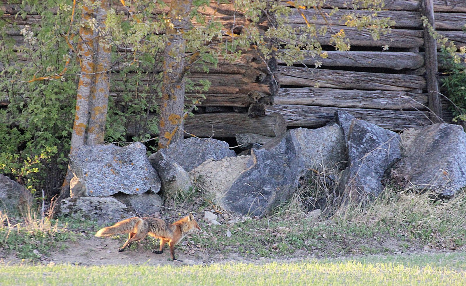 Valokuvaaja: Irja lehtinen