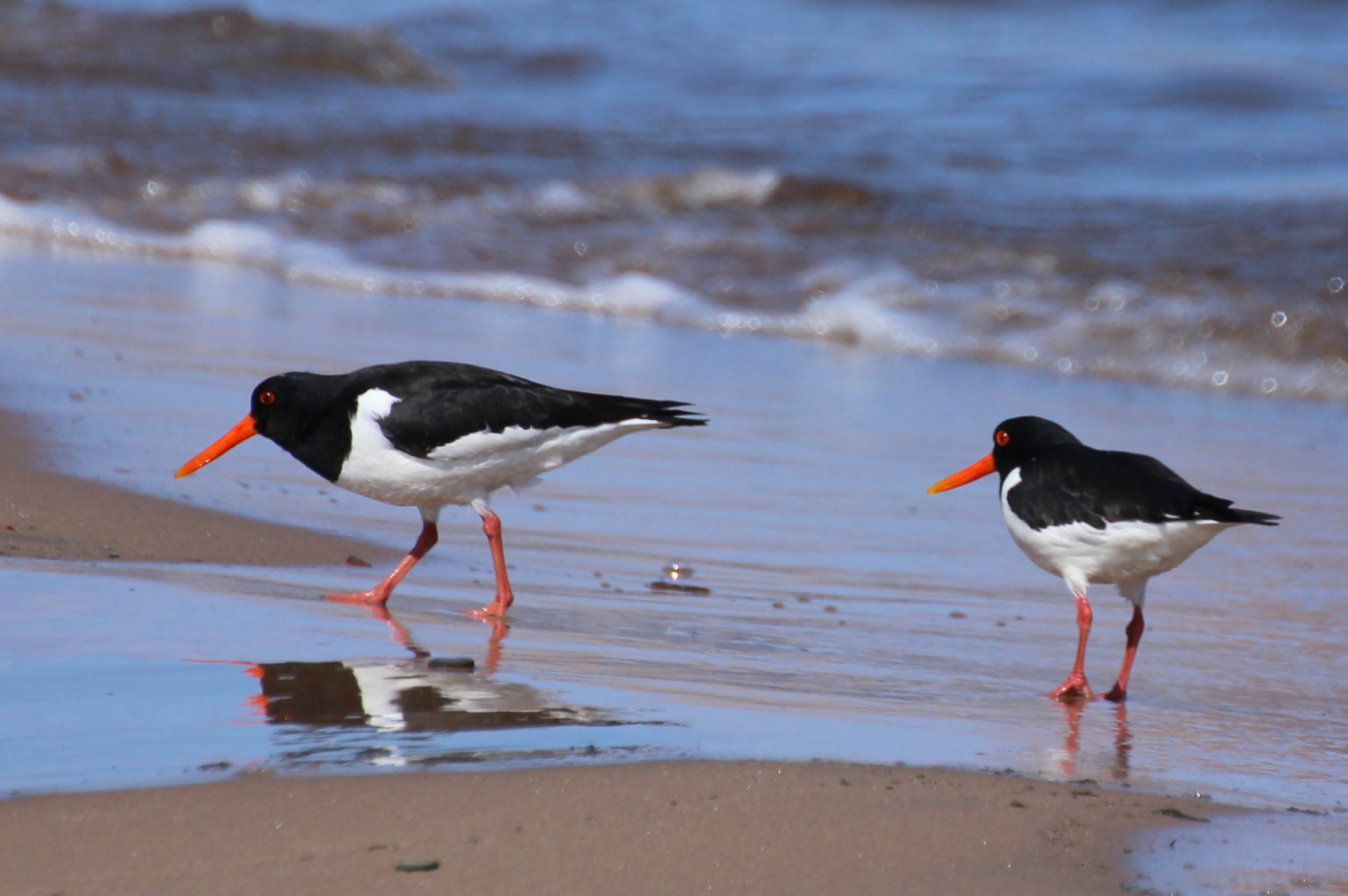 Valokuvaaja: Irja lehtinen