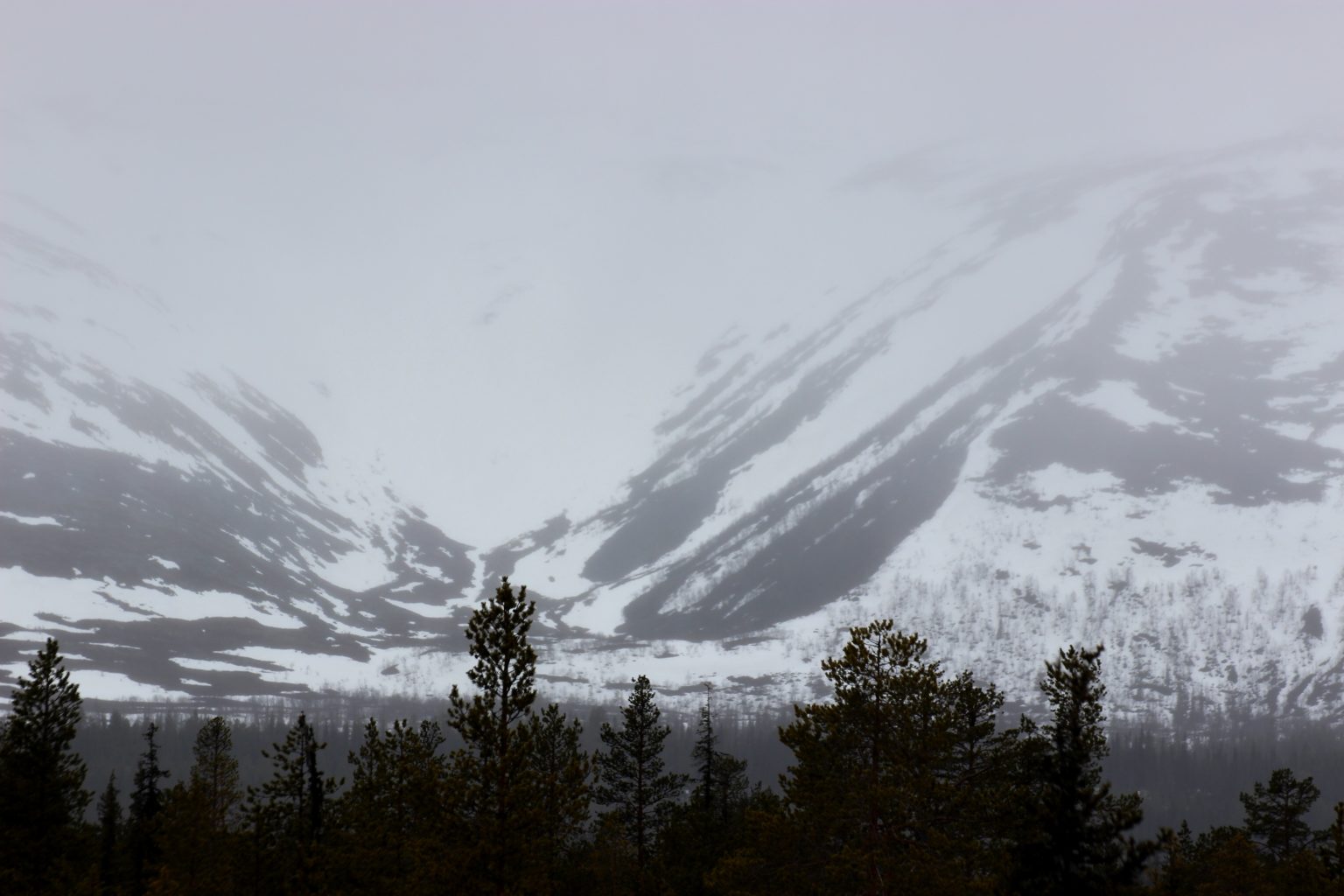Valokuvaaja: Irja Lehtinen