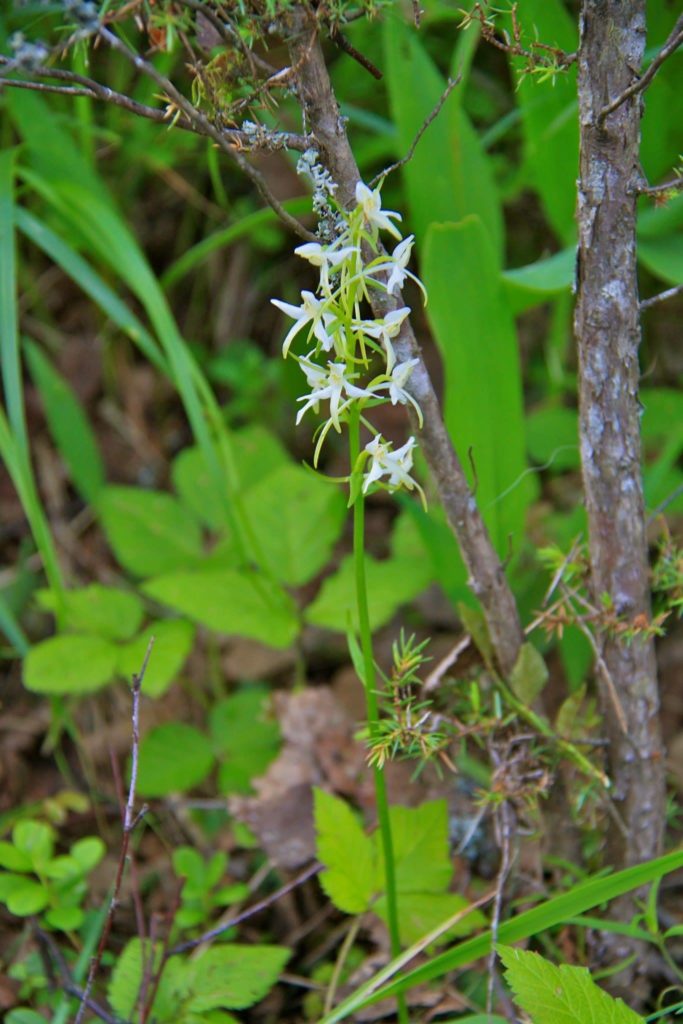 Valokuvaaja: Pirjo Kallio